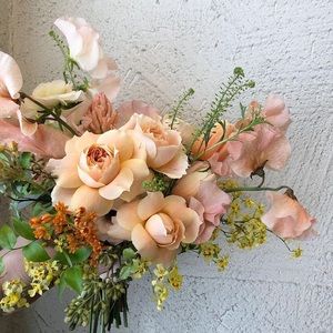 Meet your Posher, Donna